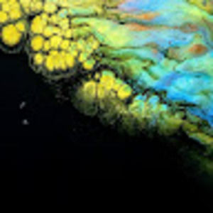 Meet your Posher, Lashia